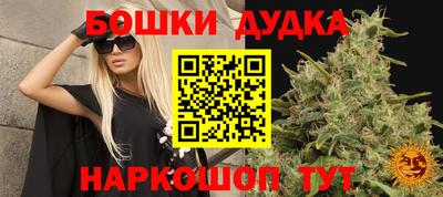 ALPHA PVP Ачхой-Мартан