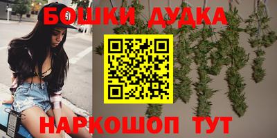 МДПВ Аша