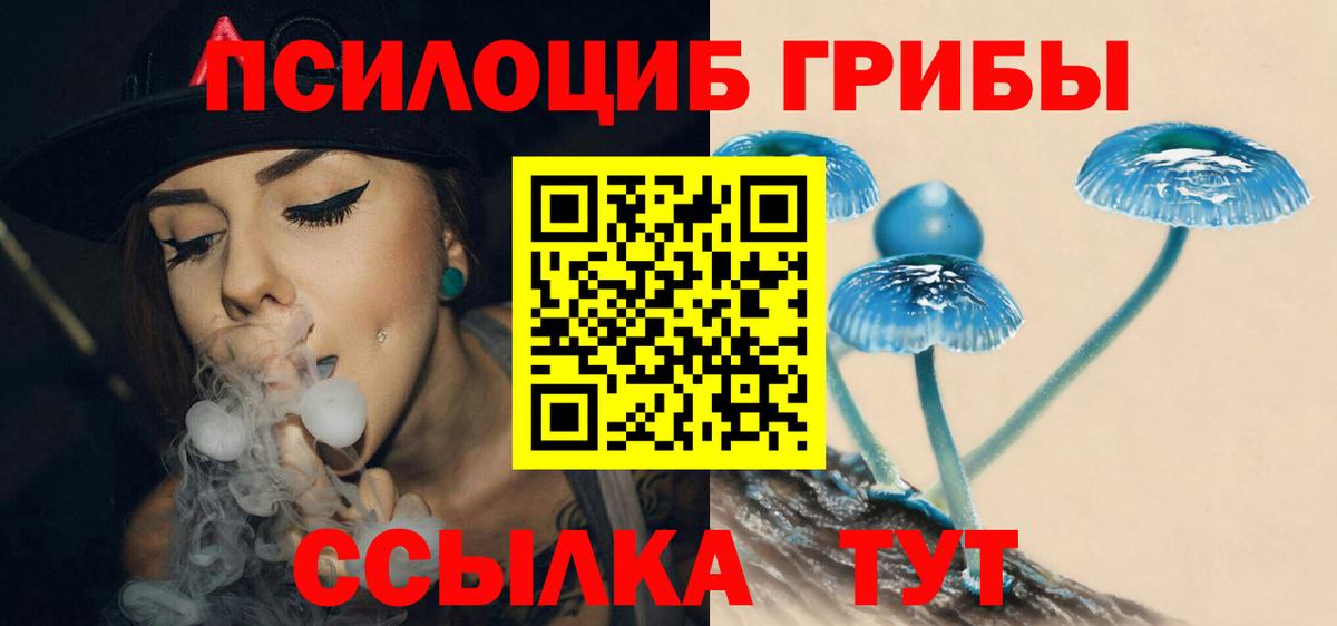 Галлюциногенные грибы Magic Shrooms Владивосток