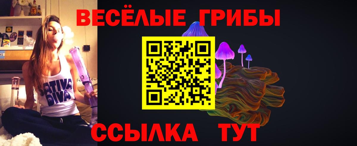 Галлюциногенные грибы GOLDEN TEACHER  Вход с VPN  Владивосток 