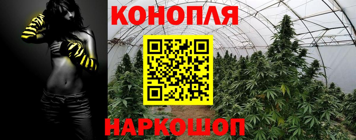 Каннабис индика Владивосток